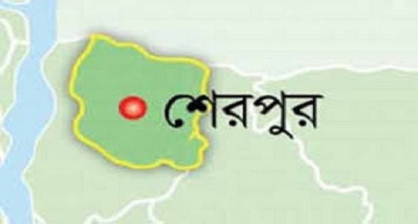 নকলা উপজেলা চেয়ারম্যানের লাশ উদ্ধার